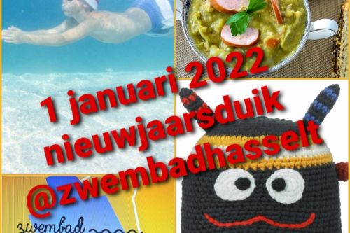 4-nieuwjaarsduik--bhoa.jpg